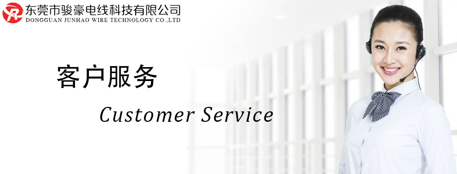 亚美AM8AG电线客户效劳中心